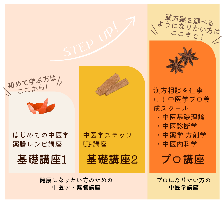 中医学を学ぶ | まつもと漢方堂