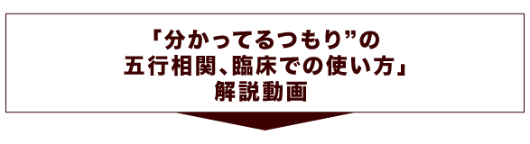 「分かってるつもりの五行相関、臨床での使い方」解説動画